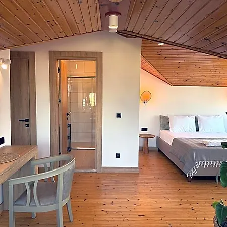 Casa Vagabundo - Adults Only